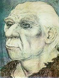 Neanderthals were not primitive humans