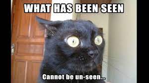 What Has Been Seen Cannot Be Unseen Know Your Meme