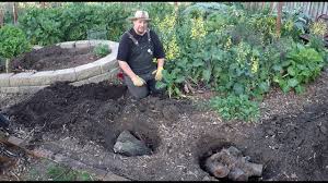 See more ideas about crazy paving, outdoor gardens, garden design. Crazy Gardening Trick To Dig Holes In Hard Soil And Condition The Earth Youtube