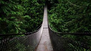 We did not find results for: Full Screen Hd Wallpapers 80 Background Pictures