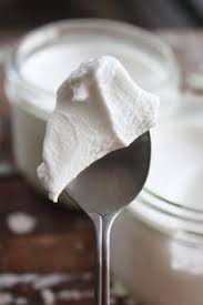 Yaourt Fait Maison A La Noix De Coco Paleo Aip Sans Lactose Vegan Yaourt Lait De Coco Yaourt Fait Maison Yaourt
