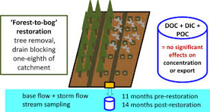 Dustless abrasive media blasting · starr restoration services, inc. Restoration Of Afforested Peatland Immediate Effects On Aquatic Carbon Loss Sciencedirect