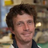 Epidermolysis Bullosa