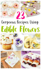 You will receive 18 flowers per pouch. Dried Edible Flowers 23 Gorgeous Recipes Shabbyfufu Com