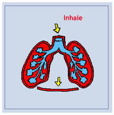 تصویر مرتبط