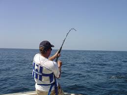 Fishing rod brands in india. Fishing Rod Wikipedia