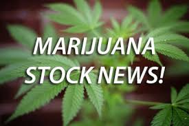 You can receive the latest news about sundial growers inc. Sundial Growers Inc Sndl And Vir Pharmaceuticals Sign Medical Cannabis Supply Agreement Marijuana Stocks Cannabis Investments And News Roots Of A Budding Industry