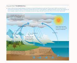 Mgmt Design Environmental Science Ap Environmental Science Environmental Education