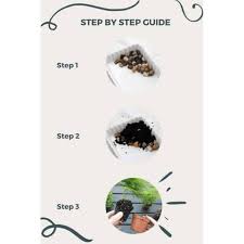 Use the flat edge of the rake to start over. How To Build Your Own Mini Zen Garden Mapiful