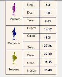 35 Semanas Cuantos Meses Son Mamas Marzo 2016 Ninos Creciendo Felices Babycenter