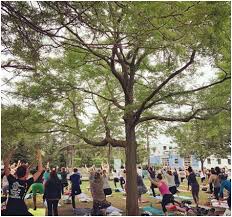 ♦ provides experienced teachers, complimentary healing disciplines and health care backgrounds, in an engaged and cooperative learning environment. Best 200 Hour Yoga Teacher Training Programs In Ottawa