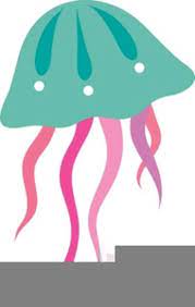 Image Result For Jellyfish Clipart Clip Art Jellyfish Image