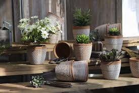 创意红陶花盆in 2021 planters planter pots plants