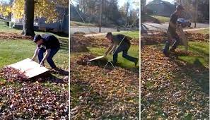 This Clever Trick Will Instantly Clear Your Lawn Of Unwanted Leaves Lawn Care Tips Lawn Care Yard Work