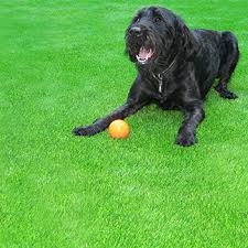 Check spelling or type a new query. Pet Friendly Fake Lawn Artificial Grass Plastic Grass
