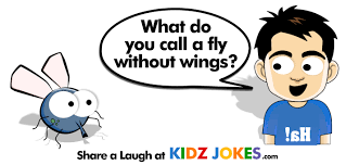 Click here for the answer. Fly Joke For Kids What Do You Call A Fly Without Wings