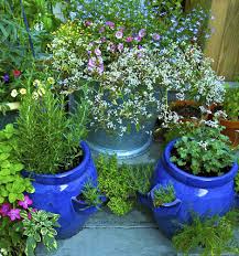 Image result for photos of herbs in a garden"