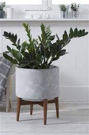 Buy Wide Concrete Planter With Wooden Legs From The Next Uk Online Shop Concrete Planters Planters Inside Plants Decor