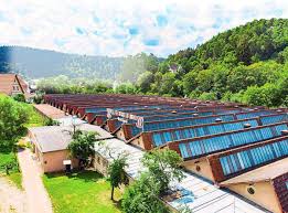 Kostenlose wohnungsbörse für mieter und vermieter in nagold kostenlos wohnungen und wg's in nagold suchen und inserieren mit bildern Nagold Investor Plant Wohnungen Rund Um Fabrikgelande Nagold Umgebung Schwarzwalder Bote