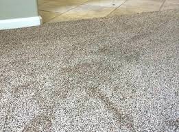 Who Makes Stainmaster Carpet For Lowes Eugeniedalland Co