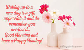 We did not find results for: Happy Monday Wishes Quotes Monday Morning Messages