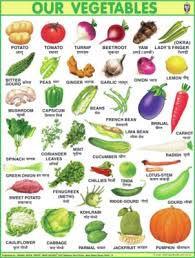 jumbo vegetables chart for children paper print 40 inch x 54 inch paper print 54 inch x 40 inch rolled