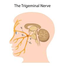 You can make blends of carrier oils and essential oils for trigeminal neuralgia. Trigeminal Neuralgia