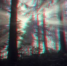 Foto 3d Mystische Stimmung Im Wald Geo Reisecommunity Glitch Wallpaper Mystisch Bilder