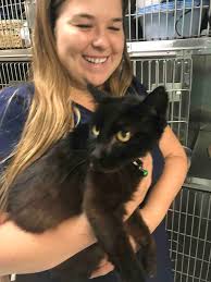 Fundraiser by Dr. Kyle Maddox : FL Keys Irma Animal Disaster Relief