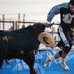 Ultimate Bullfighters