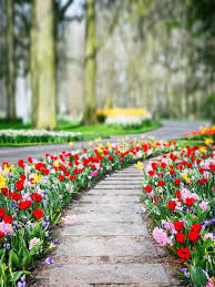 Pin By Htin Kyaw On Bg Photoshop Backgrounds Free Background For Photography Photoshop Backgrounds Backdrops