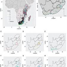 Image result for Schoenoxiphium