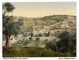 Jesus Walked Here Tours Private Holy Land Trips Mount Of Olives Holy Land Holy Land Israel