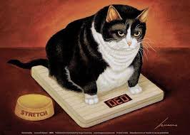 Stretch Kelley Art Prints Cats Posters Art Prints