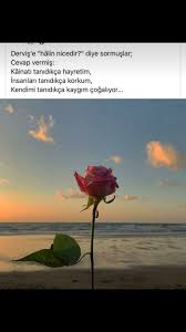 Hakikat Baginda Gul Adli Kullanicinin Guzel Sozler Panosundaki Pin Resimler Ilham Verici Sozler Ilham Verici