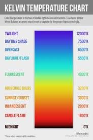 Strategic White Balance White Balance Light Photography Photography Basics