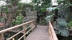 Into the Jungle of Berkenhof Tropical Zoo - YouTube