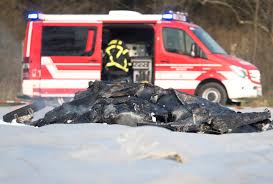 Все главные новости германии и всего балтийского региона. Istochnik Nazval Imena Vseh Pogibshih V Katastrofe Rossijskogo Samoleta V Germanii