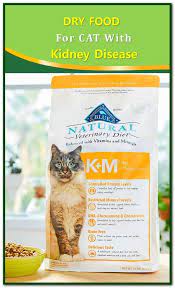 Dry Food For Cats With Kidney Disease Cat Food Sensitive Stomach Cat Food Emotional Support Dog