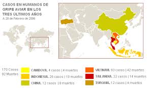 Las autoridades sanitarias adelantaron que el riesgo de propagación a gran escala es extremadamente bajo. Gripe Aviar Mapa De Fallecidos En El Mundo Causado Por Esta Enfermedad