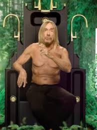 The ballad of cookie mcbride from zombie birdhouse. Iggy Pop Laut De Band