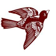 Profile for Stuttgart High School