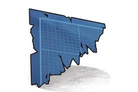 Image result for Zeuxine elongata