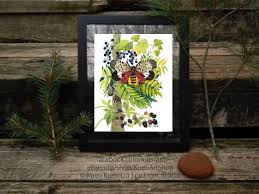 Image result for Scleria delicatula