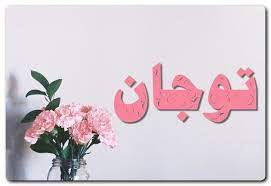 معنى اسم توجان وصفات حامل الاسم ارتداء التاج tojan toujan tujan اسم توجان