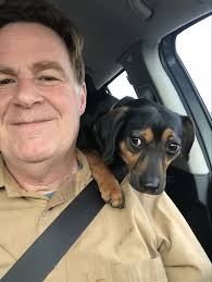 Unlikely friendship between stray dog and cat