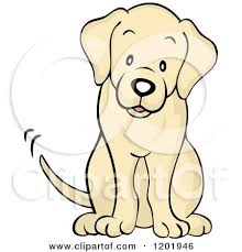 Cartoon Of A Cute Yellow Labrador Dog Sitting And Wagging His Tail Royalty Free Vector Clipart By Cartoon Ch Cartoon Dog Drawing Cartoon Drawings Dog Drawing