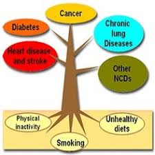 A master of science is a graduate degree that can be obtained by students who have first completed a bachelor's program in a similar field. 10 Best Non Communicable Disease Ideas Non Communicable Disease Disease Physical Inactivity