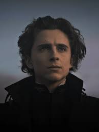 Lets Dune This Timothy