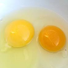Seriously, who wants poo on their eggs? Free Range Eggs Wikipedia
